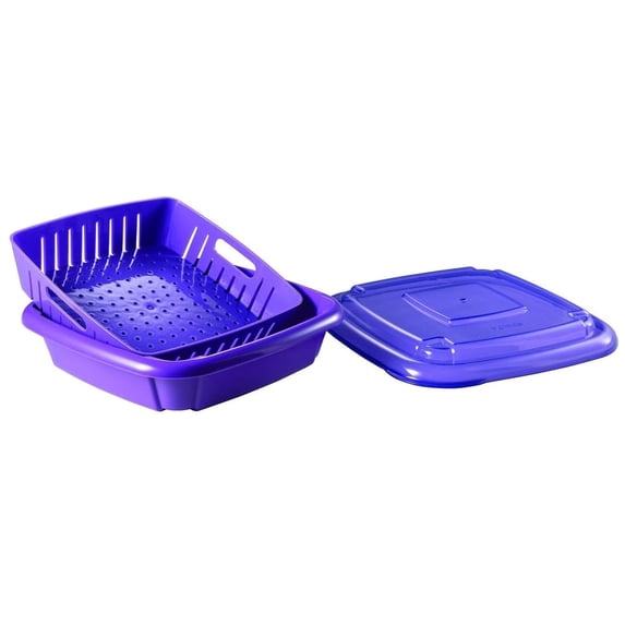 Hutzler 3-in-1 Bitty Box Berry Keeper, Berry Colander & Saver Container, 9oz / 1 Cup Capacity - Purple