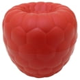 thumbnail image 1 of Hutzler Raspberries To-Go, Raspberry Travel Lunch Storage Container, 1 of 3