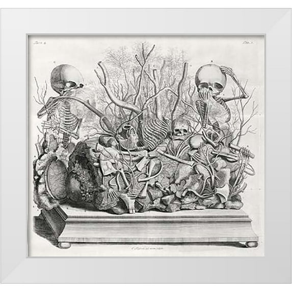 Huyberts, Cornelis 21x20 White Modern Wood Framed Museum Art Print Titled - Diorama of fetal skeletons arranged with various internal organs