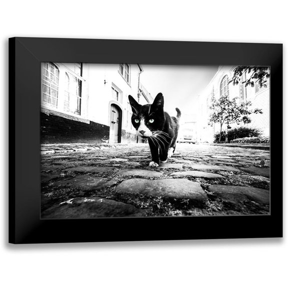 Huybrighs, Marc 14x11 Black Modern Framed Museum Art Print Titled - Focus