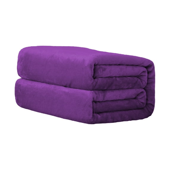 Hvmvliv Summer Blanket 100x140cm Flannel Fleece Microfiber Blanket Good Size Lightweight Cozy Couch Bed Super Soft and Warm Solid Color Cooling Blanket for Summer Purple