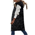 thumbnail image 1 of Hvyesh Womens Faux Fur Waistcoat Long Jacket Coat Trendy Long Sleeve Hoodies Maxi Length Outerwear 2025 Winter Fleece Thermal Coats 2-Black,M, 1 of 6
