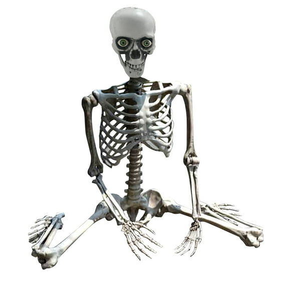 Hwkond Halloween Skeletons Life Size 70cm Halloween Skeleton Prop Human Full Size Skull Hand Life Body Anatomy Model Decor