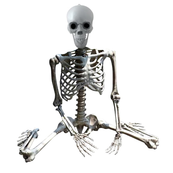 Hwkond Halloween Skeletons Life Size 90cm Halloween Skeleton Prop Human Full Size Skull Hand Life Body Anatomy Model Decor