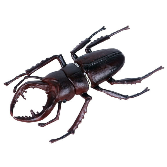 Hwkond Halloween Spider Decorations Children's Solid Simulation Insect Model Halloween Tricky Toy Spider