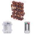 thumbnail image 1 of Hxlamzoo 20-Light Acorn-Shaped Battery Operated String Lights with Remote Control – IP20 Indoor Safe, 2m Decorative Lighting for Magical Holiday Ambiance, 1 of 8