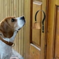 thumbnail image 1 of Hxlamzoo Vintage Wall-Mounted Dog Training Doorbell - Antique Metal Home & Garden Decoration for All Dog Sizes, 1 of 5