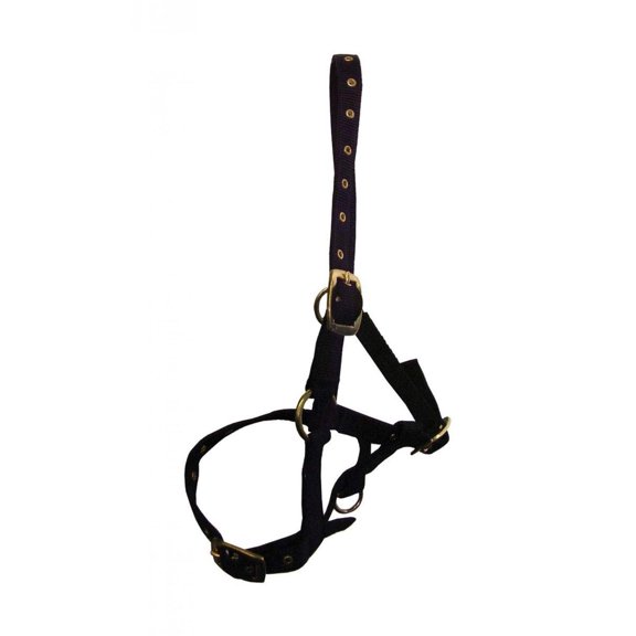 Hy Foal Head Collar equestrian
