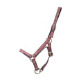 thumbnail image 1 of Hy Foal Plus Head Collar, 1 of 2