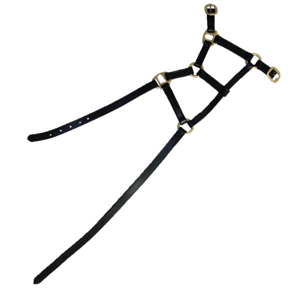 Hy Leather Foal Halter