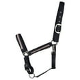 thumbnail image 1 of Hy Mystic Horse Halter, 1 of 3