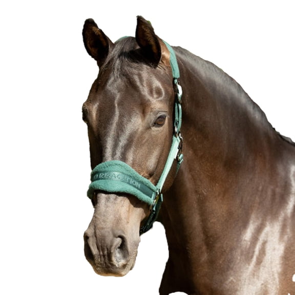 Hy ProReaction Horse Halter