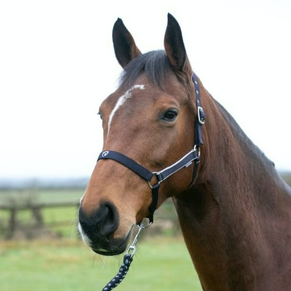 Hy Synergy Horse Halter and Leadrope