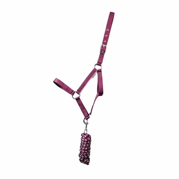 Hy Synergy Horse Halter