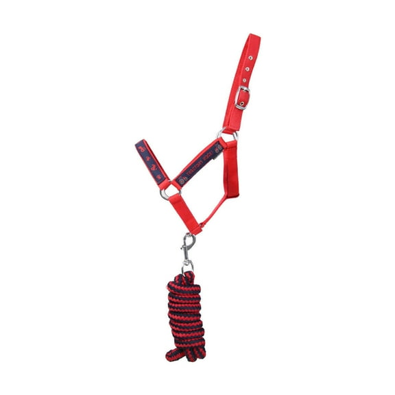 Hy Tractor Rock Horse Halter and Leadrope
