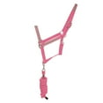 thumbnail image 1 of HyVIZ Reflector Halter and Lead Rope, 1 of 2