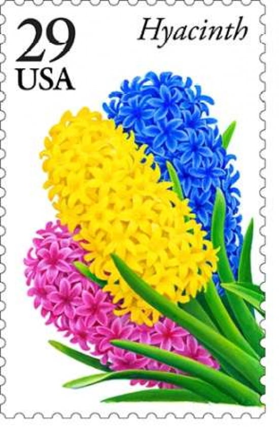 Hyacinth 29 Canvas Art - US POSTAL SERVICE (12 x 18)