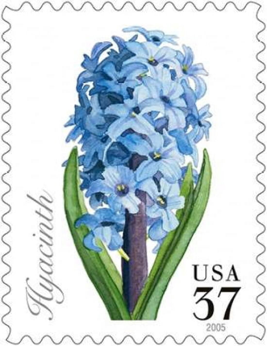 Hyacinth 37 Canvas Art - US POSTAL SERVICE (22 x 28)