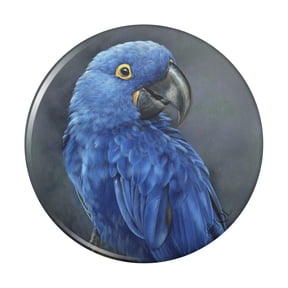 Hyacinth Macaw Parrot Kitchen Refrigerator Locker Button Magnet