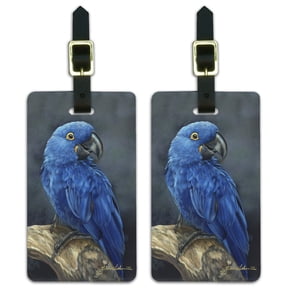 Hyacinth Macaw Parrot Luggage ID Tags Suitcase Carry-On Cards - Set of 2