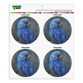 Hyacinth Macaw Parrot Refrigerator Fridge Locker Vinyl Circle Magnet Set