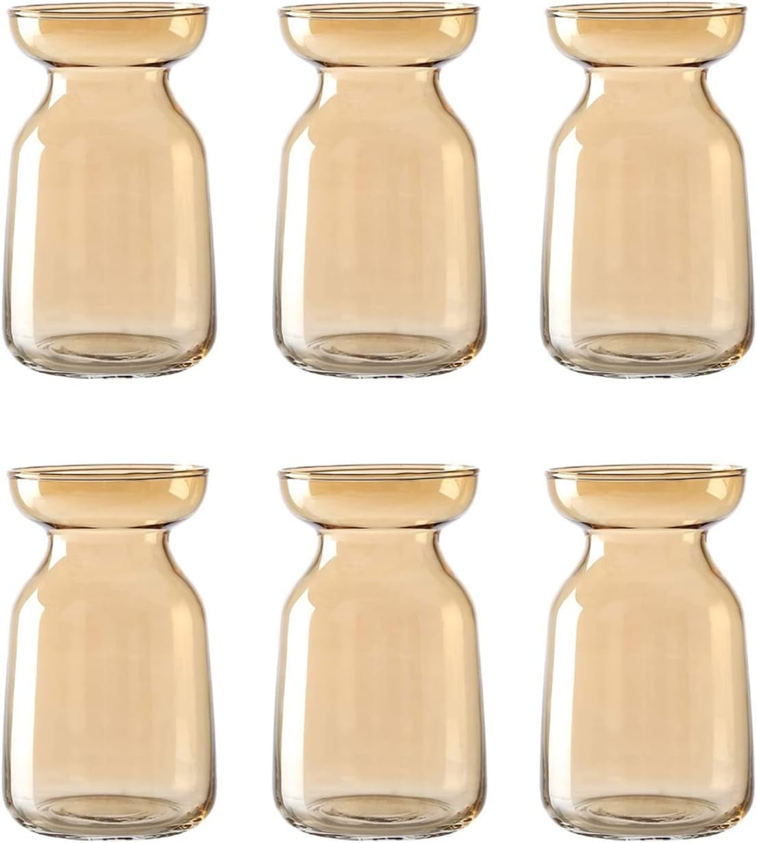 Hyacinth Vase Glass Vases 6Pcs Avocado Vase Hydroponic Glass Bulb Bud