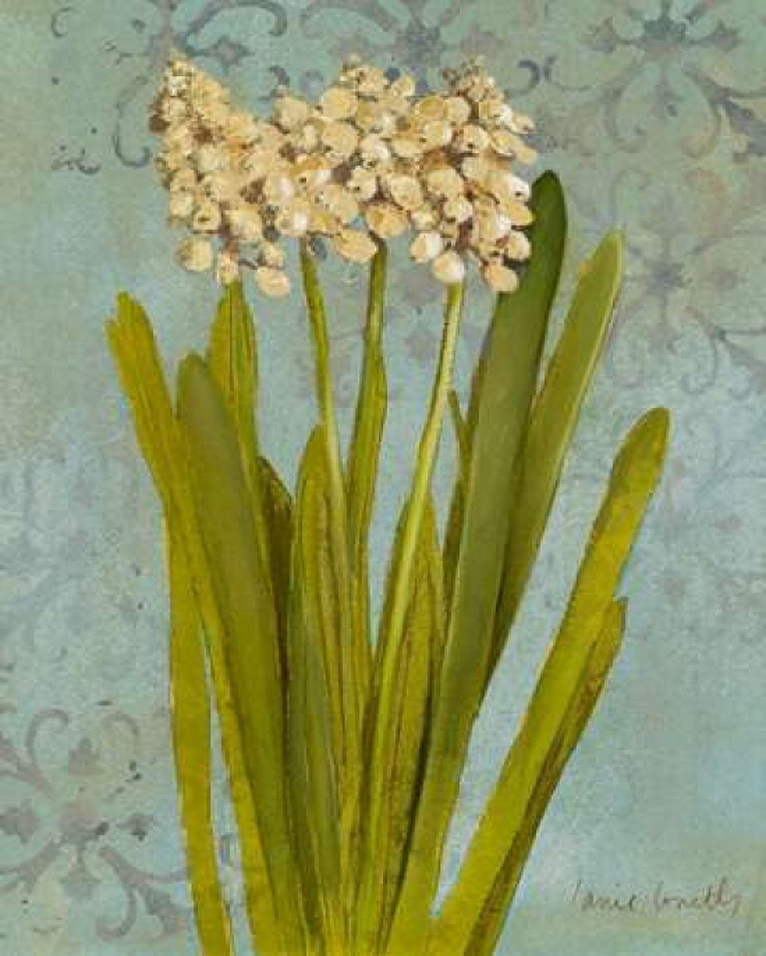 Hyacinth on Teal II Canvas Art - Lanie Loreth (24 x 30)