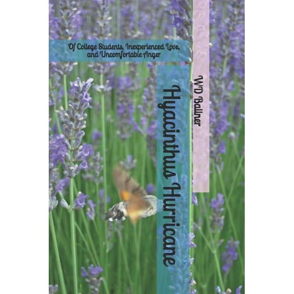 Hyacinthus Hurricane: Of College Students, Inexperienced Love, and Uncomfortable Anger Paperback 1093651512 9781093651515 WD Ballner