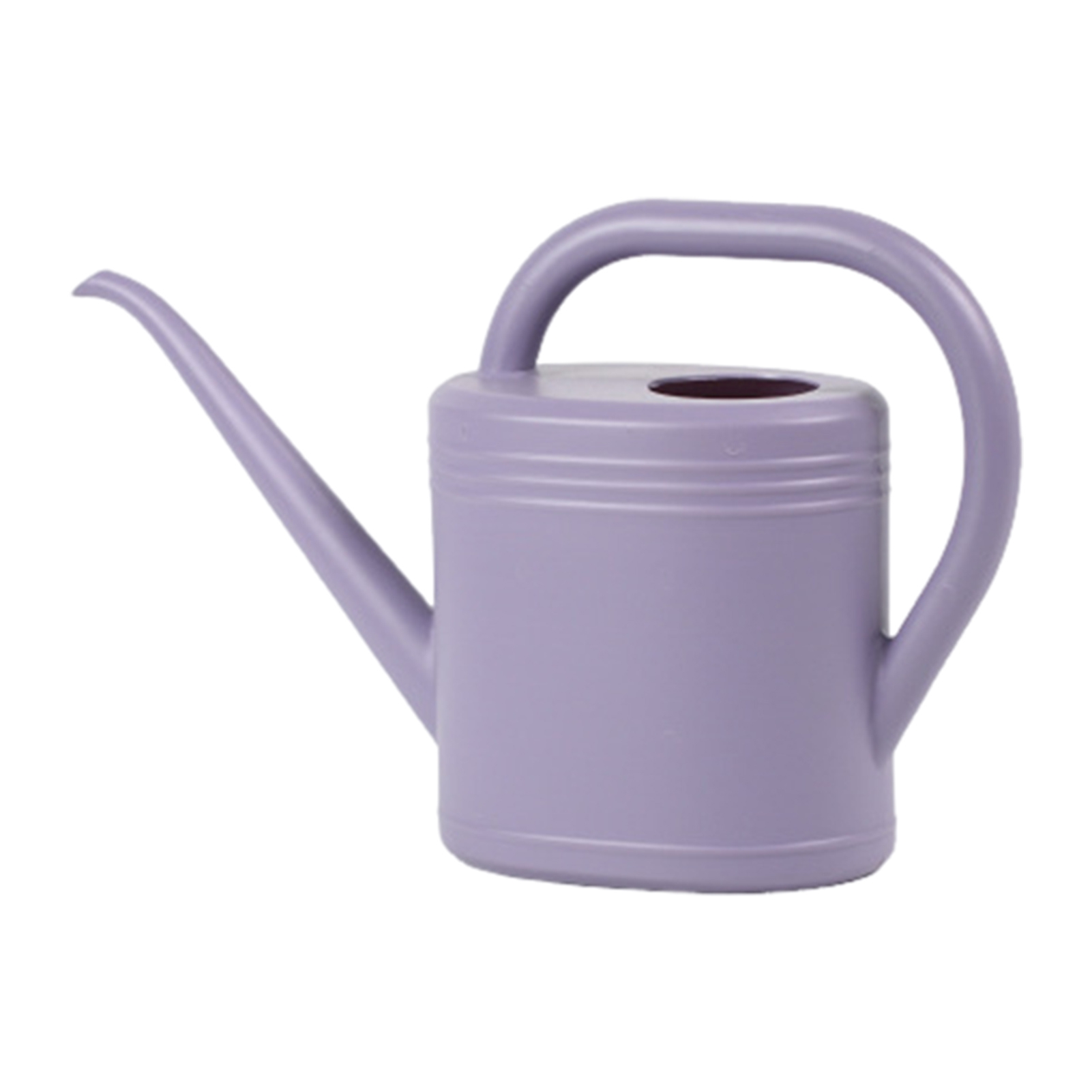 Hyasfey 1L/2L Watering Can Garden Watering Can with Removable Shower Head Handheld Outdoor Watering Can for Greenhouse Plants Flowers