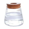 thumbnail image 1 of Hyasfey Plant Propagation Station Glass Planter with Wooden Tray Lid Tabletop Plant Propagation Vase for Hydroponic Plants Air Plants Flower Cuttings, 1 of 7