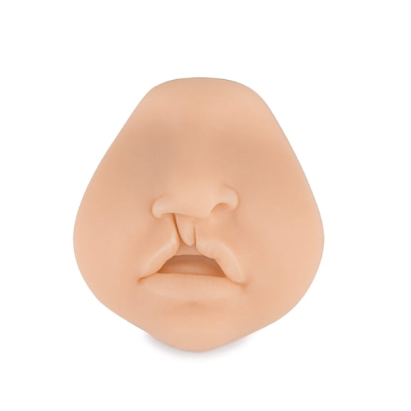 Hybrid Cleft Lip Model, Cleft Lip Suture Training Simulator