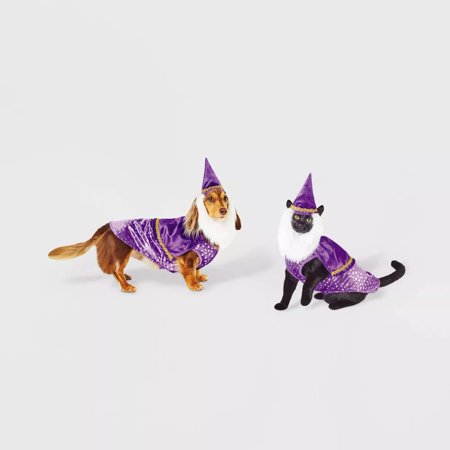 Hyde & EEK! Boutique Wizard Dog and Cat Costume X-Small