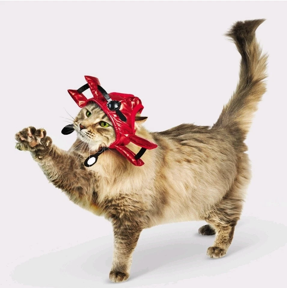 Hyde & Eek! Boutique Biplane Cat 1-Pc Hat Dree-Up Halloween Costume - One Size