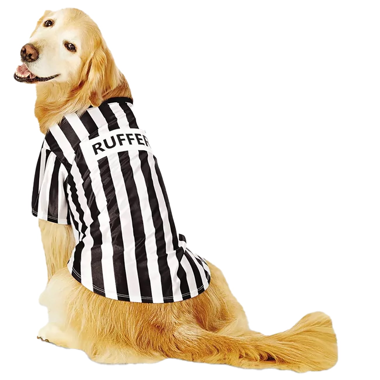 Hyde and EEK Boutique Halloween Rufferee Dog and Cat T Shirt Medium