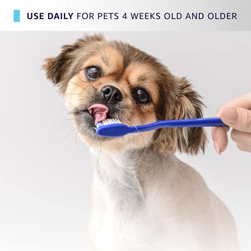 Hydra Professional Dental Paste, FluorideFree Pet Toothpaste, Breath