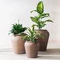 thumbnail image 1 of Fab Habitat Hydra Tall Metal Planter, Small (14”H x 11”W) in Mousse – Indoor/Outdoor, Lightweight with Drainage, 1 of 9