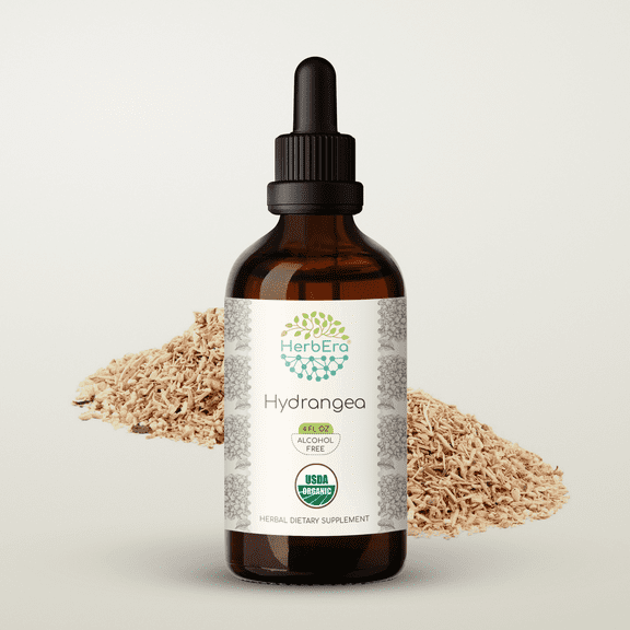 HerbEra Hydrangea Tincture, Organic Herbal Dietary Supplement for Urinary Tract Support, Certified Organic Hydrangea (Hydrangea arborescens) Dried Root Extract, Natural, Alcohol-Free, Drops 4 oz