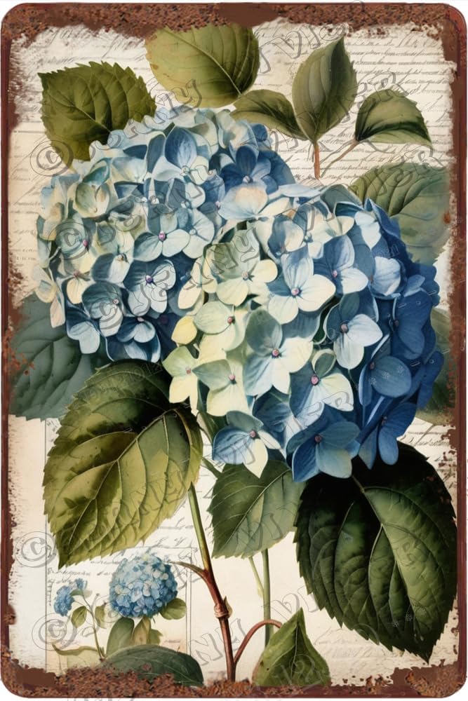Hydrangea Aluminium Tin Sign Garden Flower Metal Tin Sign, Beautiful ...