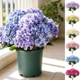 thumbnail image 1 of Hydrangea Artificial Flower for Outdoor, 4 Bundles Fake Hydrangea Bush Plant UV Resistant for Outdoors Front Porch Indoor Home Garden Decor, Purple, 1 of 9