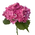 thumbnail image 1 of Hydrangea Artificial Flowers | 4 Pack 20 Inch Pink Faux Hydrangea Flowers for Home Decor Wedding Arrangement Gifting, 1 of 3