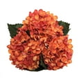 thumbnail image 1 of Hydrangea Artificial Flowers Silk Fake Hydrangeas Faux Hydrangea Flowers with Stems for Wedding Bouquets Arrangement Home Table Centerpieces Shower Party Decoration(Multicolor), Orange, 1 of 7