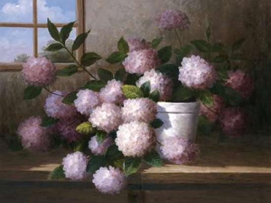 Hydrangea Blossoms l Canvas Art - Welby (18 x 24)
