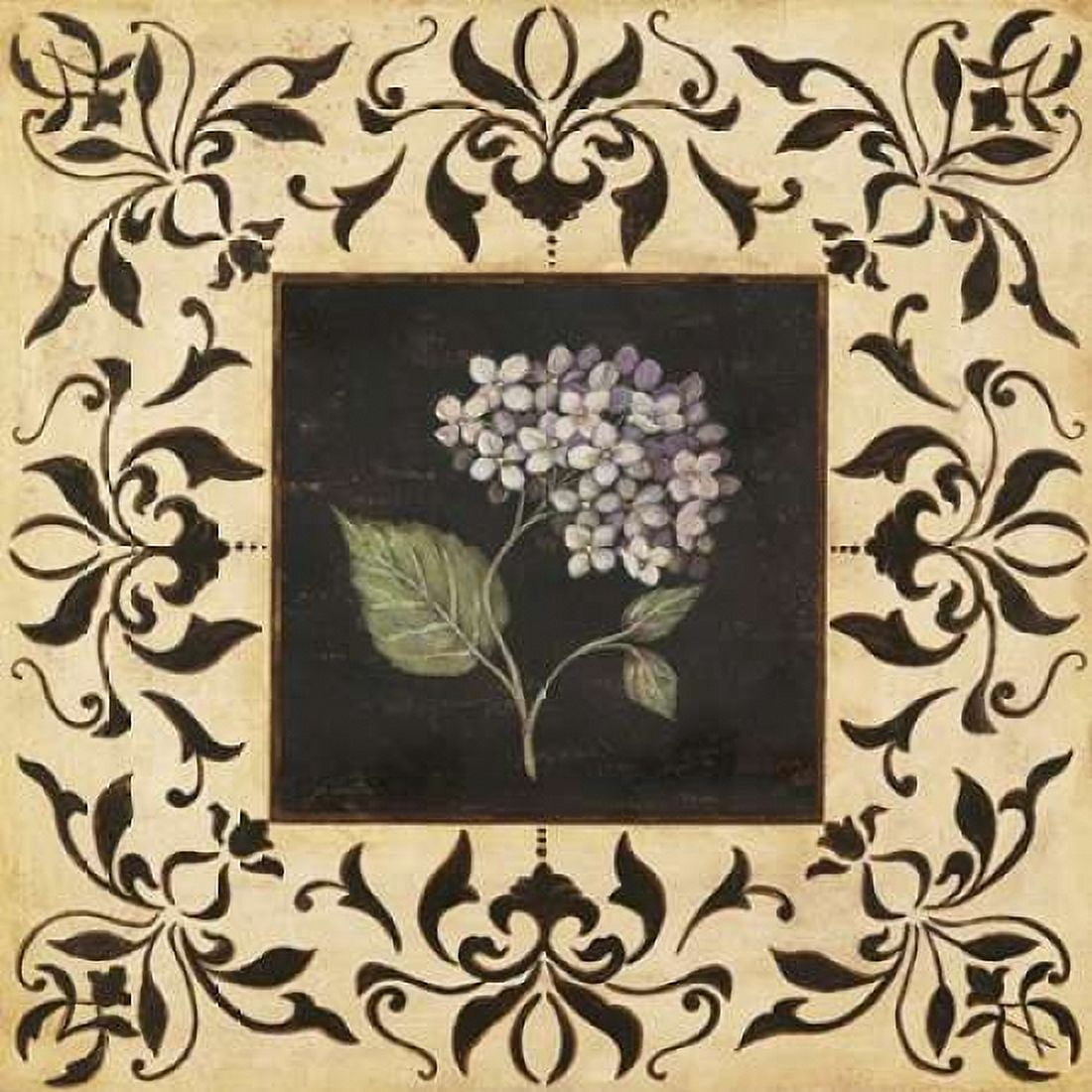 Hydrangea Canvas Art - Jo Moulton (24 x 24)