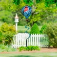 thumbnail image 1 of Hydrangea Cardinal Balloon Spinner, 1 of 1