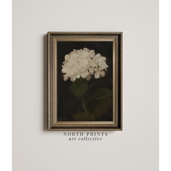 Hydrangea Dark Moody Antique Botanical Unframed Paper Print
