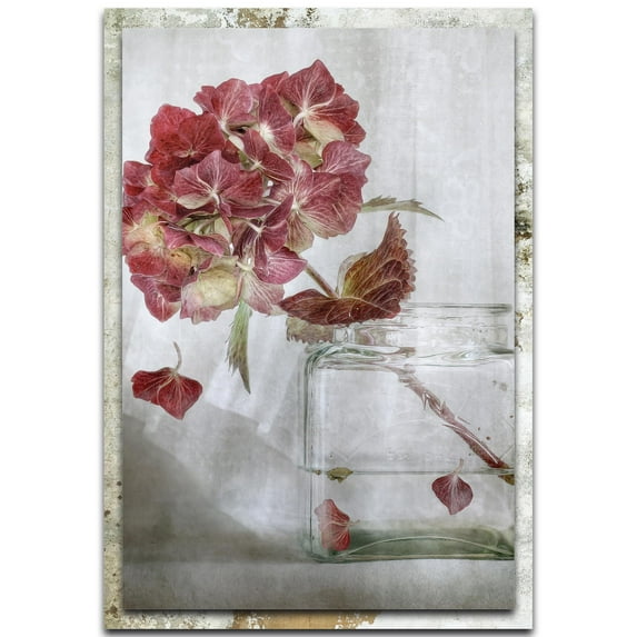Hydrangea Distressed Frame