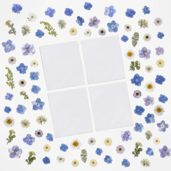 Hydrangea Dried Pressed Flowers