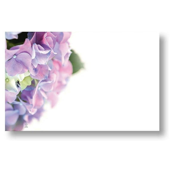 Hydrangea Enclosure Cards / Gift Tags - 3 1/2in. x 2 1/4in. - 50 Pack (AC4939)