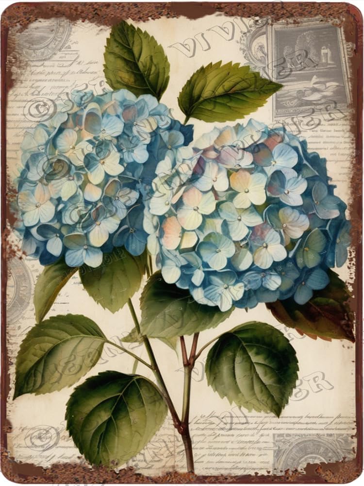 Hydrangea Retro Aluminum Sign 12x16 in Metal Sign Hydrangea Flower ...