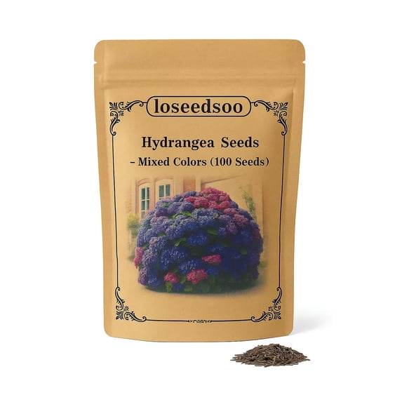Hydrangea Seeds Mixed Colors Perennial Flowers